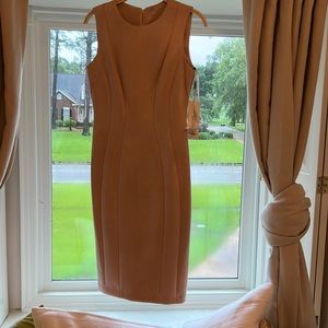 Elegant Dress NWT